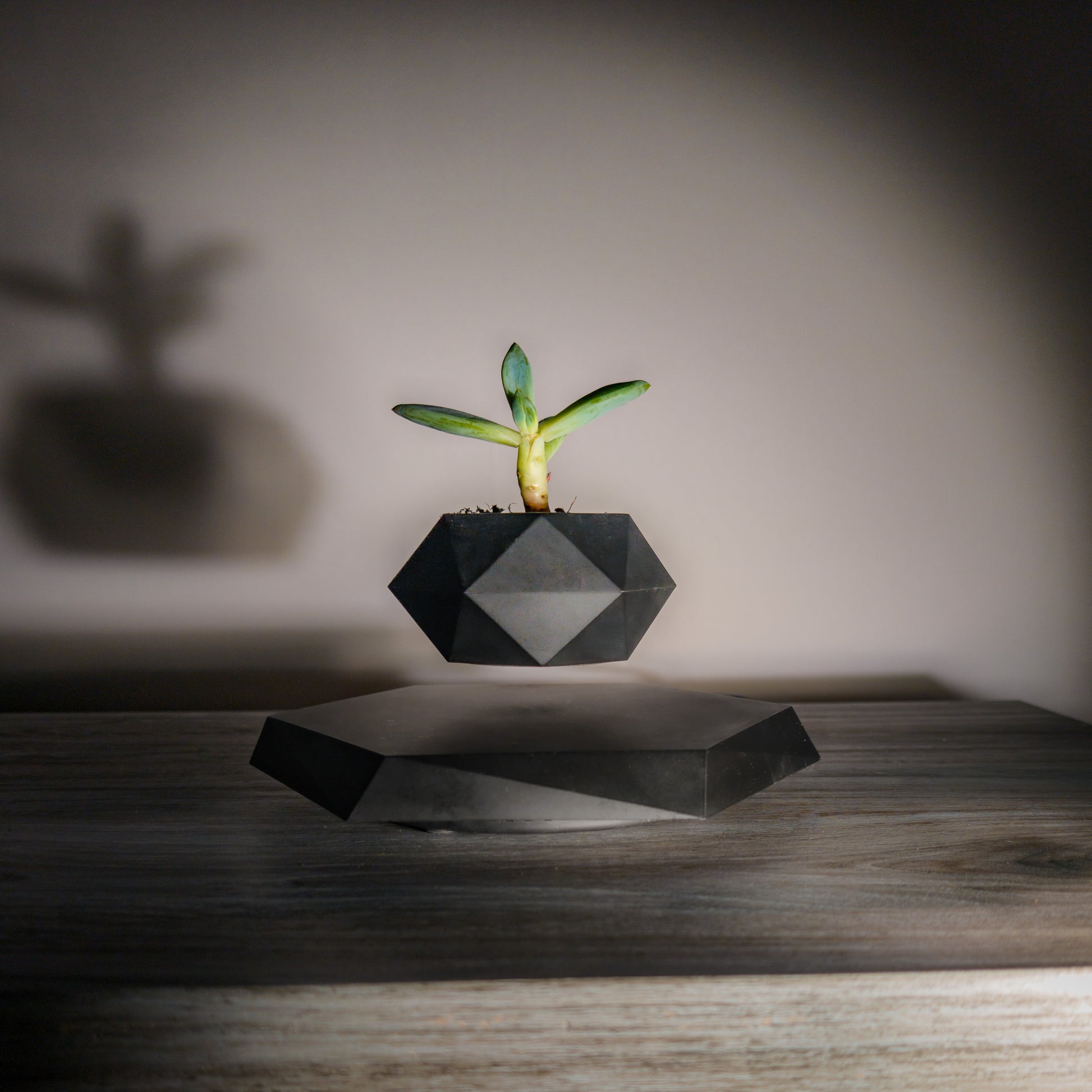 NEOFLOAT LEVITATING PLANT