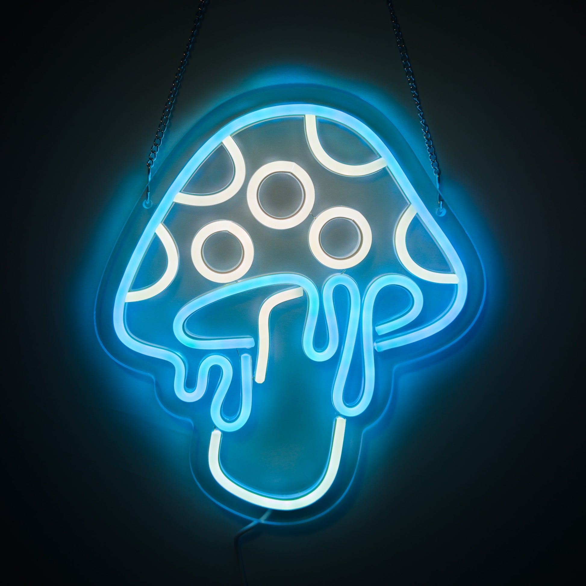 DRIPPY MUSHROOM