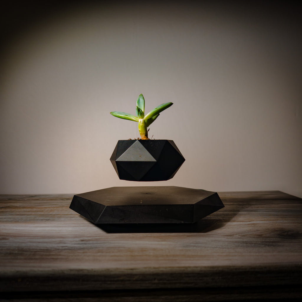 NEOFLOAT LEVITATING PLANT
