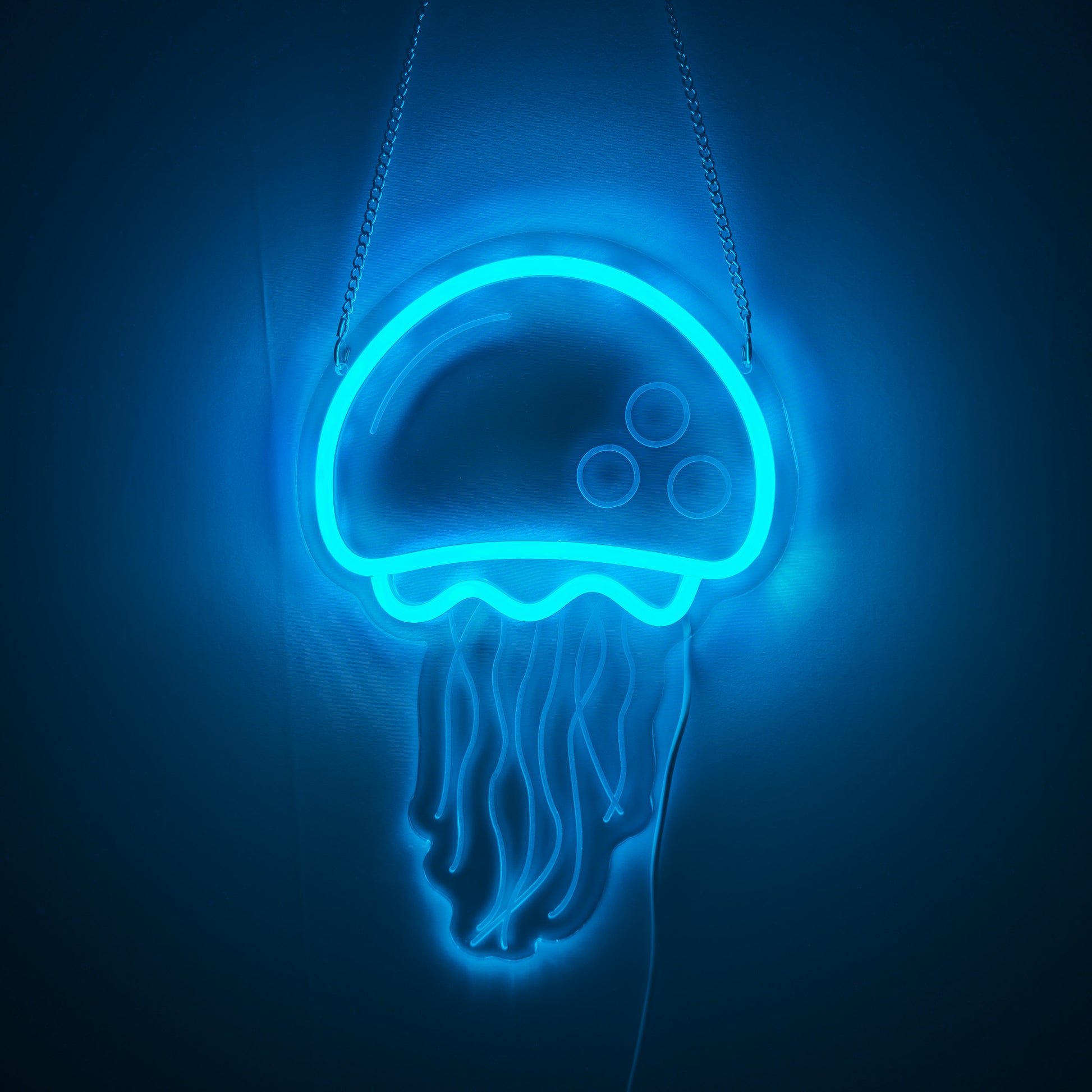 JELLYFISH