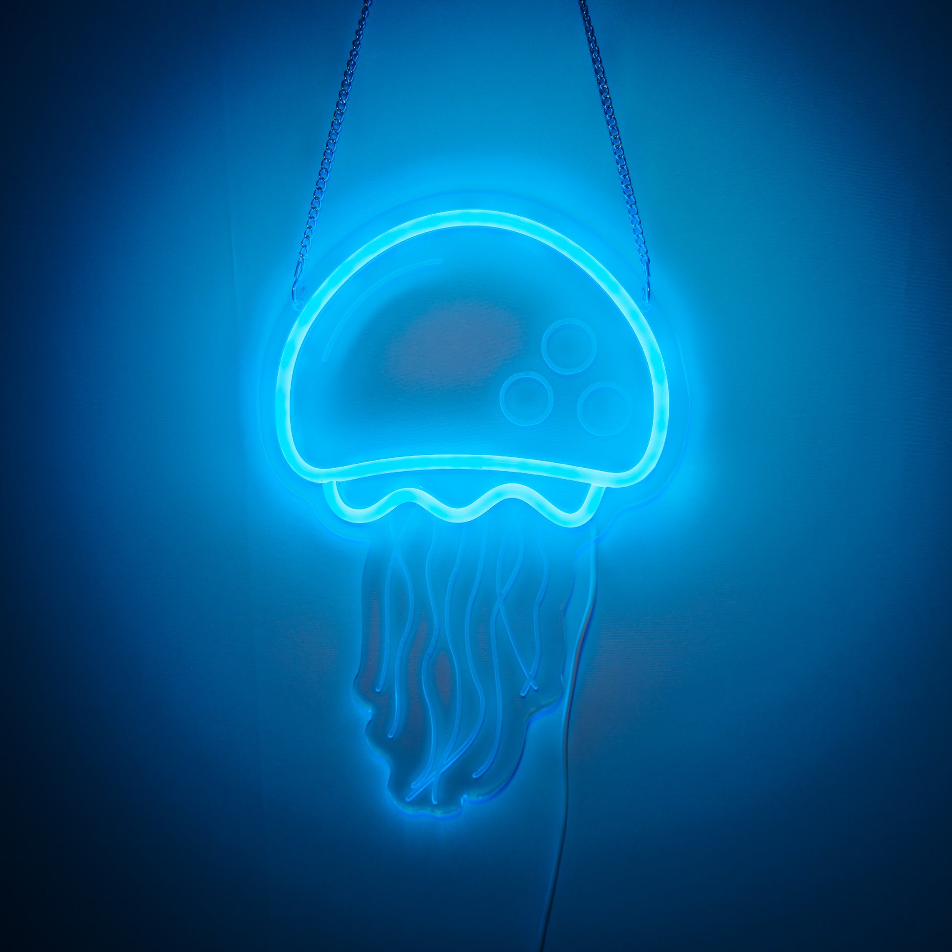 JELLYFISH