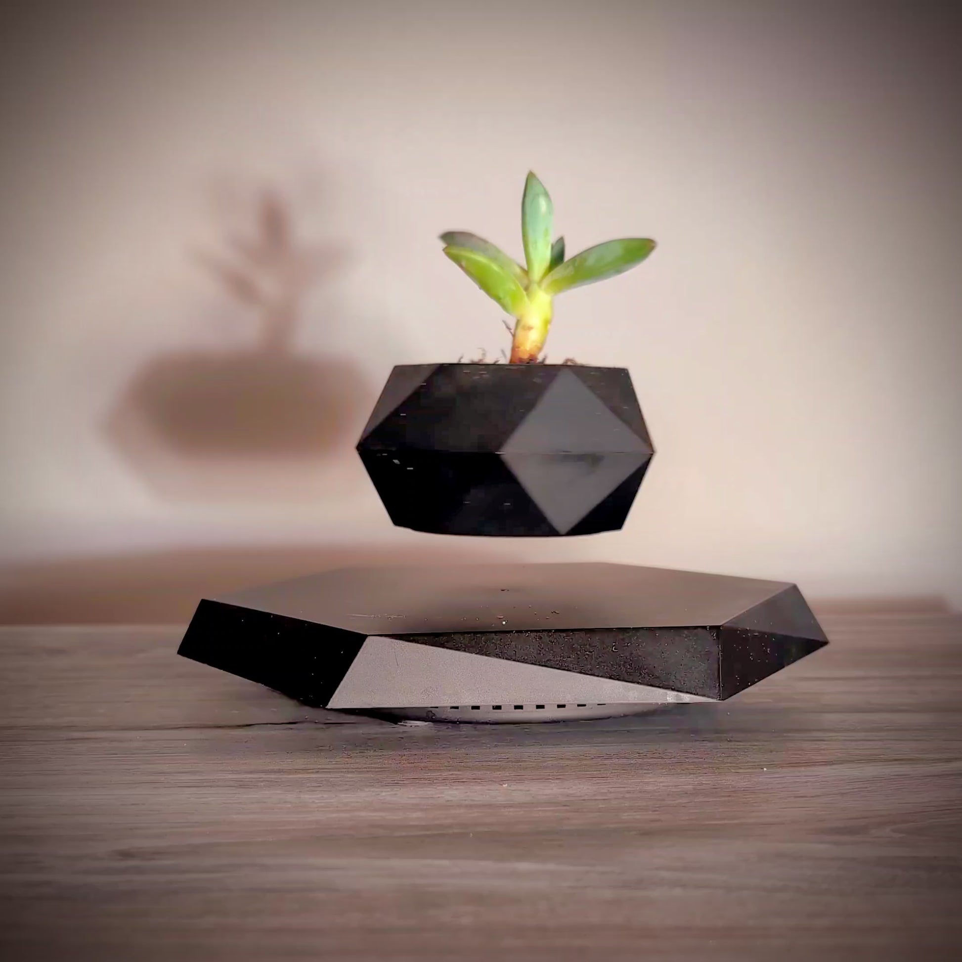 NEOFLOAT LEVITATING PLANT